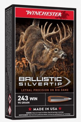 Winchester Silvertip .243 Winchester