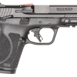 SMITH & WESSON  9MM LUGER (9X19 PARA) STRIKER 10 ROUNDS 4 BARREL