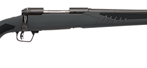 Savage 110 Hunter .204 Ruger 22″ Gray Synthetic